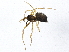  ( - BIOUG04069-F03)  @13 [ ] CreativeCommons - Attribution (2013) CBG Photography Group Centre for Biodiversity Genomics