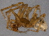  ( - BIOUG06190-A04)  @12 [ ] CreativeCommons - Attribution (2014) CBG Photography Group Centre for Biodiversity Genomics