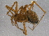  ( - BIOUG06190-C09)  @13 [ ] CreativeCommons - Attribution (2014) CBG Photography Group Centre for Biodiversity Genomics