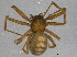  ( - BIOUG06190-C12)  @14 [ ] CreativeCommons - Attribution (2014) CBG Photography Group Centre for Biodiversity Genomics