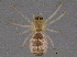  ( - BIOUG06190-F03)  @13 [ ] CreativeCommons - Attribution (2014) CBG Photography Group Centre for Biodiversity Genomics