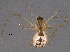  ( - BIOUG06190-F12)  @14 [ ] CreativeCommons - Attribution (2014) CBG Photography Group Centre for Biodiversity Genomics