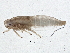  ( - BIOUG06245-E07)  @12 [ ] CreativeCommons - Attribution (2014) CBG Photography Group Centre for Biodiversity Genomics