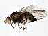 ( - BIOUG06333-F11)  @12 [ ] CreativeCommons - Attribution (2014) CBG Photography Group Centre for Biodiversity Genomics