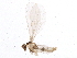  ( - BIOUG06414-B08)  @13 [ ] CreativeCommons - Attribution (2014) CBG Photography Group Centre for Biodiversity Genomics