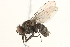  ( - BIOUG06563-G10)  @15 [ ] CreativeCommons - Attribution (2015) CBG Photography Group Centre for Biodiversity Genomics
