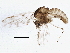  ( - BIOUG06361-E03)  @13 [ ] CreativeCommons - Attribution (2014) CBG Photography Group Centre for Biodiversity Genomics