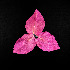  ( - BSP_03_24)  @11 [ ] Unspecified (default): All Rights Reserved  Unspecified Unspecified