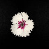  ( - Dch_07_24)  @11 [ ] Unspecified (default): All Rights Reserved  Unspecified Unspecified