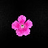  ( - Dch_08_24)  @11 [ ] Unspecified (default): All Rights Reserved  Unspecified Unspecified