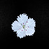  ( - Dch_09_24)  @11 [ ] Unspecified (default): All Rights Reserved  Unspecified Unspecified