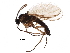  ( - BIOUG12998-E11)  @11 [ ] CreativeCommons - Attribution (2016) CBG Photography Group Centre for Biodiversity Genomics