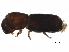  ( - BIOUG13326-C04)  @13 [ ] CreativeCommons - Attribution (2015) CBG Photography Group Centre for Biodiversity Genomics