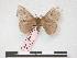  ( - PD-BC 111)  @12 [ ] Copyright (2010) Unspecified Research Collection of Philippe Darge