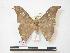  ( - PD-BC 136)  @13 [ ] Copyright (2010) Unspecified Research Collection of Philippe Darge