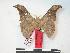  ( - PD-BC 140)  @13 [ ] Copyright (2010) Unspecified Research Collection of Philippe Darge