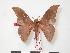  ( - PD-BC 156)  @13 [ ] Copyright (2010) Unspecified Research Collection of Philippe Darge