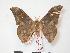  ( - PD-BC 157)  @12 [ ] Copyright (2010) Unspecified Research Collection of Philippe Darge