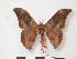  ( - PD-BC 158)  @13 [ ] Copyright (2010) Unspecified Research Collection of Philippe Darge