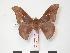  ( - PD-BC 160)  @13 [ ] Copyright (2010) Unspecified Research Collection of Philippe Darge