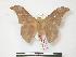  ( - PD-BC 164)  @13 [ ] Copyright (2010) Unspecified Research Collection of Philippe Darge