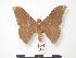  ( - PD-BC 170)  @13 [ ] Copyright (2010) Unspecified Research Collection of Philippe Darge