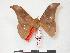  ( - PD-BC 174)  @13 [ ] Copyright (2010) Unspecified Research Collection of Philippe Darge