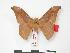  ( - PD-BC 179)  @13 [ ] Copyright (2010) Unspecified Research Collection of Philippe Darge