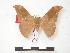 ( - PD-BC 180)  @12 [ ] Copyright (2010) Unspecified Research Collection of Philippe Darge