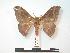  ( - PD-BC 194)  @13 [ ] Copyright (2010) Unspecified Research Collection of Philippe Darge