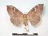  ( - PD-BC 195)  @14 [ ] Copyright (2010) Unspecified Research Collection of Philippe Darge