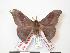  ( - PD-BC 205)  @12 [ ] Copyright (2010) Unspecified Research Collection of Philippe Darge
