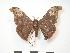  ( - PD-BC 212)  @14 [ ] Copyright (2010) Unspecified Research Collection of Philippe Darge