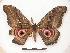  ( - PD-BC 026)  @13 [ ] Copyright (2010) Unspecified Research Collection of Philippe Darge