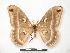  ( - PD-BC 341)  @14 [ ] Copyright (2010) Unspecified Research Collection of Philippe Darge