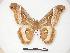  ( - PD-BC 371)  @13 [ ] Copyright (2010) Unspecified Research Collection of Philippe Darge