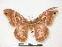  ( - PD-BC 372)  @13 [ ] Copyright (2010) Unspecified Research Collection of Philippe Darge