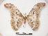  ( - PD-BC 375)  @13 [ ] Copyright (2010) Unspecified Research Collection of Philippe Darge
