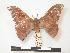  ( - PD-BC 051)  @12 [ ] Copyright (2010) Unspecified Research Collection of Philippe Darge