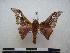  ( - PD-BC 1156)  @13 [ ] Copyright (2010) Unspecified Research Collection of Philippe Darge