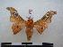  ( - PD-BC 1199)  @13 [ ] Copyright (2010) Unspecified Research Collection of Philippe Darge
