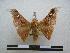  ( - PD-BC 1226)  @13 [ ] Copyright (2010) Unspecified Research Collection of Philippe Darge