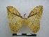  ( - PD-BC 1257)  @13 [ ] Copyright (2010) Unspecified Research Collection of Philippe Darge