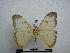  ( - PD-BC 1305)  @13 [ ] Copyright (2010) Unspecified Research Collection of Philippe Darge