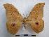  ( - PD-BC-1605)  @14 [ ] Copyright (2010) Unspecified Research Collection of Philippe Darge