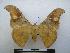  ( - PD-BC-1697)  @13 [ ] Copyright (2010) Unspecified Research Collection of Philippe Darge