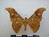  ( - PD-BC-1707)  @14 [ ] Copyright (2010) Unspecified Research Collection of Philippe Darge
