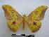  ( - PD-BC-1642)  @15 [ ] Copyright (2010) Unspecified Research Collection of Philippe Darge