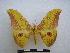 ( - PD-BC-1649)  @15 [ ] Copyright (2010) Unspecified Research Collection of Philippe Darge
