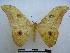  ( - PD-BC-1653)  @15 [ ] Copyright (2010) Unspecified Research Collection of Philippe Darge